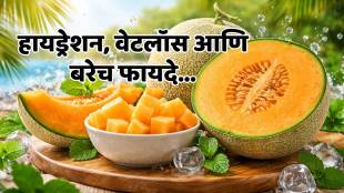 Fresh muskmelon slices with water splashes representing hydration.