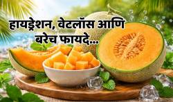 ९० टक्के पाणी असलेलं ‘हे’ सुपरफ्रूट उन्हाळ्यात का खावं? डॉक्टरांनी सांगितले याचे ५ मोठे फायदे…