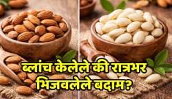 भिजवलेले की ब्लांच केलेले, कोणते बदाम आरोग्यासाठी जास्त फायदेशीर?