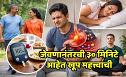 जेवणानंतरची ३० मिनिटं ठरतात ‘गेमचेंजर’, ब्लड शुगर आणि पचनासाठी ‘या’ सवयी आहेत महत्त्वाच्या…
