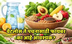 केवळ प्रोटीन पुरेसे नाही! वेटलॉस, पचनासाठी रोज किती फायबर खावे? जाणून घ्या तज्ज्ञांचा सल्ला