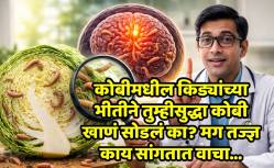 कोबी खाल्ल्याने खरंच मेंदूत किडे होतात? डॉक्टरांनी सांगितलेले ‘हे’ सत्य वाचून तुम्हीही थक्क व्हाल…