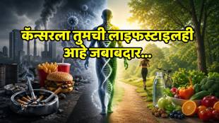 90 percent lifestyle factors causing cancer risk