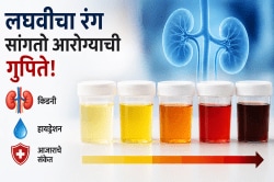 गडद, तपकिरी की लाल लघवी? हे रंग कोणत्या आजाराचे लक्षण असू शकतात