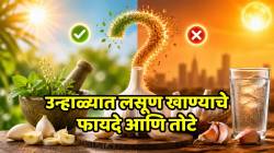 उन्हाळ्यात लसूण खावा की टाळावा? जाणून घ्या, काय सांगते आयुर्वेद?