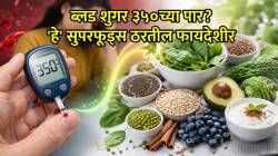 ब्लड शुगर ३५०च्या पार गेलीये? घाबरू नका, ‘या’ ५ सुपरफूड्सनी रक्तातील साखर येईल झटक्यात नियंत्रणात