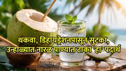 Energy Booster: उन्हाळ्यात थकवा जाणवतोय? मग नारळ पाण्यात ‘हा’ पदार्थ नक्की मिसळा… फायदे वाचून थक्क व्हाल!