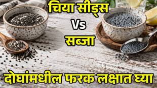 Chia vs Sabja which is actually better