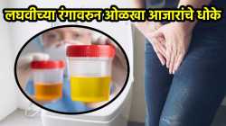 लघवीचा रंग कसा, किती व का बदलतो? रंगावरुन ओळखा आजारांचे धोके, वाचा मुत्राच्या रंगाचे अर्थ