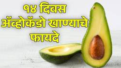 १४ दिवस ॲव्होकॅडो खाल्ल्यास शरीरात काय बदल होतात? डॉक्टरांनी सांगितलेले ‘हे’ फायदे पाहून व्हाल थक्क!