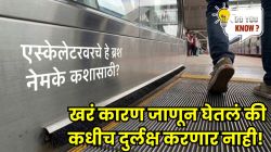 एस्केलेटरच्या दोन्ही बाजूला ब्रश का लावलेले असतात? ‘हे’ खरं कारण ऐकून थक्क व्हाल!