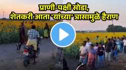 शेतकऱ्यांना आता प्राणी, पक्ष्यांचा नाही, तर आता ‘यांचा’ त्रास; हाकलण्यासाठी पाहा काय केलं; हसाल VIDEO पाहून