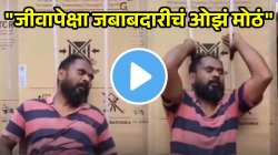 “जीवापेक्षा जबाबदारीचं ओझं मोठं”, घामाच्या धारा, थकलेलं शरीर…; एका वडिलांचा ‘हा’ VIDEO पाहून डोळ्यांत येईल पाणी