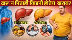 दारू न पिताही लिव्हर होतेय खराब? फॅटी लिव्हर आजार नेमका काय आहे, कशामुळे होतो? घ्या जाणून