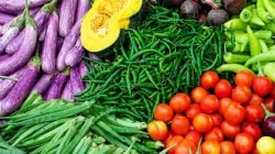 पावसामुळे घाऊक बाजारात फळभाज्यांची आवक घटली- नुकसानीच्या भीतीने आवक कमी