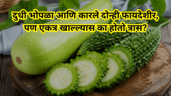 उन्हाळ्यामध्ये दुधी भोपळासह कारले का खाऊ नये? दोन्ही भाज्या आरोग्यदायी असूनही एकत्र खाल्ल्यास त्रास का होतो? डॉक्टरांकडून जाणून घ्या