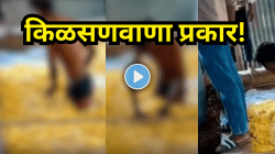 किळसणवाणा प्रकार! चक्क अर्धनग्न अवस्थेत चिप्सच्या…. Viral Video पाहून नेटकऱ्यांचा संताप