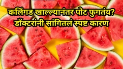 उन्हाळ्यात रसाळ कलिंगड खाणे किती सुरक्षित? चुकीच्या वापरामुळे वाढतोय विषबाधेचा धोका