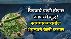 पिण्याचे पाणी होणार आणखी शुद्ध! स्वयंपाकघरातील शेवग्याने केली कमाल; सूक्ष्म प्लास्टिक काढून टाकणार, संधोशनाचा निष्कर्ष