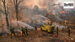 विश्लेषण : महाराष्ट्रात ८५०० वणवे लागतात कसे? रोखणार कोण?