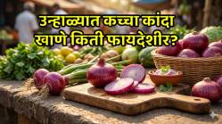 Heart Health ते पचनक्रिया; उन्हाळ्यातील उष्माघातावर कांदा कसा ठरतो रामबाण उपाय? काय सांगतात तज्ज्ञ?
