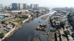 मुंबई : रस्ता डांबरीकरण, संरक्षक भिंत बांधण्याचा अनुभव असलेल्या कंपन्यांच्या झोळीत मिठी सफाईचे कंत्राट