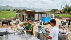 भारतात वाढतोय डेअरी स्टार्टअप्सचा उद्योग!