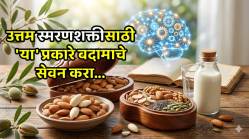 Almonds For Brain: तल्लख बुद्धीसाठी बदाम खाण्याची योग्य पद्धत कोणती? वाचा, तज्ज्ञ काय सांगतात?