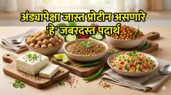 अंड्यापेक्षाही जास्त ताकदवर! स्नायूंच्या मजबुतीसाठी ‘हे’ ५ शाकाहारी पदार्थ आहेत प्रोटीनचा खजिना