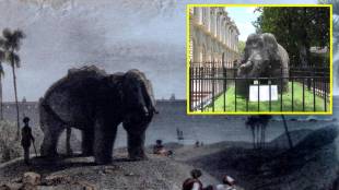 Gharapuri Island Stone Elephant History | Elephanta Caves Ancient Artifacts | British attempt to take elephant to England | Dr Bhau Daji Lad Museum Mumbai exhibits