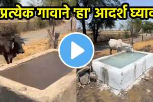 animals help viral video