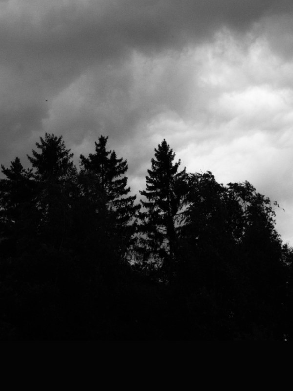 Horoscope Today Sunday 12 April 2026