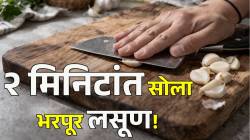 २ मिनिटांत सोला भरपूर लसूण! बोटं न दुखता झटक्यात होईल काम; फक्त ‘या’ ३ ट्रिक लक्षात ठेवा