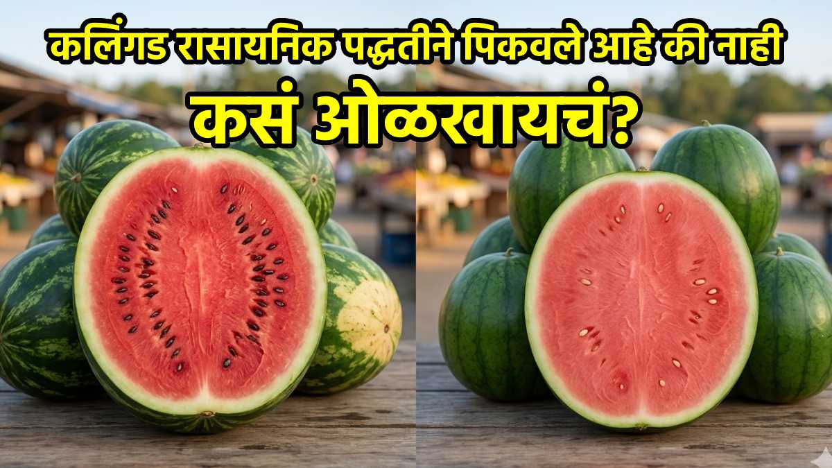 how to identify artificially ripened watermelons