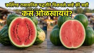 How to spot real and fake watermelon