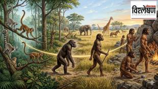 Human evolution tail loss reason | Scientific explanation why humans dont have tails | Miocene epoch Ekembo species fossils | Human anatomy sacrum bone evolution