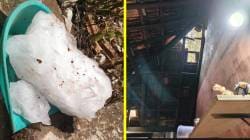 ​मालवण देवलीमध्ये भर उन्हाळ्यात एका घरात कोसळला ५ किलोचा ‘बर्फाचा गोळा’