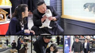 kim-jong-un-pyongyang-pet-shop-visit-puppies-cats-2026