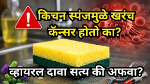 Kitchen Sponge Cancer