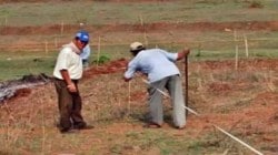जमीन मोजणी आता गतीने, प्रत्येक जिल्ह्यात खासगी भूमापकांची नियुक्ती