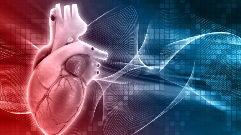 Lifestyle Changes to Prevent a Heart Attack