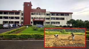 Mahaannapurna project Konkan Krishi Vidyapeeth | rice farming development Maharashtra | Dapoli agricultural university research | International Rice Research Institute Philippines collaboration