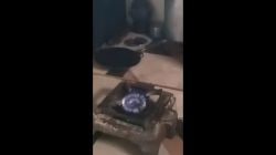 राज्यात हजारांवर गोशाळा; बायोगॅस प्रकल्प जेमतेम, गौऱ्यांची मागणी वाढली