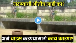 Man Jumps into Lion Enclosure, Shocking Viral Video Stuns Internet