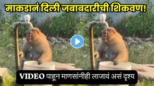 Monkey Turning Off Tap Video