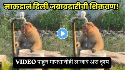 VIDEO: माणसं जे विसरतात, ते माकडानं करून दाखवलं! पाणी प्यायल्यानंतर त्यानं जे केलं…पाहून तुम्हीही व्हाल थक्क