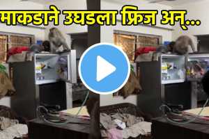 Monkey Steals Almonds video viral