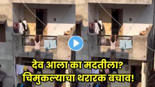 Monkey saves child viral video balcony rescue