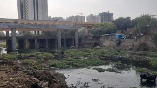 Nagpur Municipal Corporation Nag river cleaning scam | Abha Pande NCP Ajit Pawar group allegations | Mayor Nita Thakre inquiry orders | NMC river silt removal corruption probe