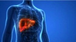 Fatty Liver in Kids : लहान मुलांमध्ये वाढतोय फॅटी लिव्हरचा धोका! तो टाळण्यासाठी तज्ज्ञांचे सोपे उपाय…